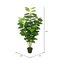 64" Fresh Philodendron w/Pot-Green