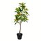 29 inches Potted Orange Tree