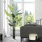 7' Potted Travelers Palm 14 Leaves
