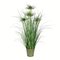 36" Green Cyperus Grass In Iron Pot
