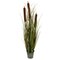36" Brown Cattail Grass in Iron Pot