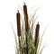 36" Brown Cattail Grass in Iron Pot
