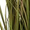 48" Brown Cattail Grass in Iron Pot