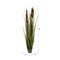 48" Brown Cattail Grass in Iron Pot