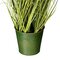 37" Green Daisy Grass In Iron Pot