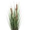 24" Grass with 5 Cattails Potted