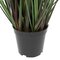 24" Grass with 5 Cattails Potted