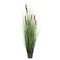 48" Grass with 8 Cattails Potted