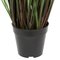 48" Grass with 8 Cattails Potted