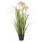 24" Dandelion Grass in Pot