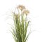 24" Dandelion Grass in Pot