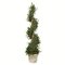 50 inches Potted Angel Topiary with pot shown