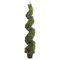 5' Outdoor Rosemary Spiral Topiary in Pot Green