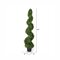 4' Boxwood Spiral In Pot UV