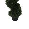 4' Boxwood Spiral In Pot UV