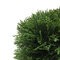 L24"xW12"xH12" Green Cedar Hedge UV