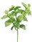 9"Artificial Basil Bush  Green