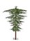 7.5 feet Umbrella Pine Christmas Tree - 864 PE/PVC Tips  - 66 inches Top Width - Metal Base