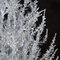 Alpine Ice Tree