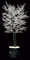 6' Winter Upswept Ice Tree on Natural Trunks