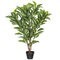35" Artificial Green Real Touch Zebra Plant.