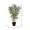 35" Artificial Green Real Touch Zebra Plant.