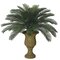 3 feet Tall Artificial Outdoor Cycas Palm Cluster - 48 Fronds - Tutone Green - Bare Stem