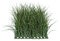 20 inches POLYBLEND Outdoor  Grass Mat - 14 inches Height TUTONE GREEN