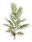 3' Natural Touch Areca Palm Bush with Twig