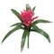 14" Tropical Polyblend All Weather Bromeliads come in Orange, Red, Yellow or Fuschia Colors