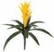 22  inches Tropical Polyblend All Weather Bromeliads come in Orange, Gold/Yellow, Red, or Fuschia Colors