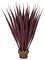 36 Inch Large Outdoor Agave Plant In Green Or Burgundy