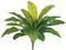 20 inches Soft-Touch Bird's Nest Fern Bush with 20 Leaves Green