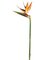 31 inches Large Bird of Paradise Spray Natural