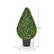 36 inches Outdoor Boxwood Teardrop Shaped In Pot