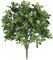 20 Inch Polyblend Outdoor Boxwood Bush Fire Rated