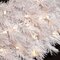 30 inches Blanca Pine Wreath - 300 White Tips - 100 Clear Lights