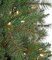 15' Emerald Pine Christmas Tree - Pencil Size - 1,050 Warm White LED Lights