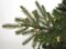 15' Elizabeth Pine Christmas Tree - Full Size - 2,950 Warm White LED Lights