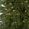 Earthflora's 7.5 Ft. And 9 Ft. Nordman Fir Trees With Led Lights or No Lights
