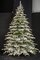 Medium flocked lockhart fir trees | 7.5 ft, 9 ft, 12 ft. Tall