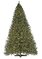 C-84694 6' Virginia Pine Christmas Tree - Full Size - 650 Green Tips - White LED Lights