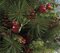 24" Sugar Pine Christmas Tree - Red Apples, Cedar, Huckleberry Leaf and Pine Cones