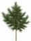 32 inches Scotch Pine Spray - Green - (IFR)
