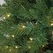 7.5 feet Westford Pine - Medium Size - Green Tips - 700 Clear Lights