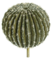 12.5 Inch Grey/Green Barrel Head Cactus with Stem