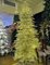 Earthflora's 5 Ft., 7.5 Ft., 9 Ft., 12 Ft., 15 Ft. - Deluxe Sparkling Champagne Trees With 3mm Cl...