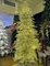 Earthflora's 5 Ft., 7.5 Ft., 9 Ft., 12 Ft., 15 Ft. - Deluxe Sparkling Champagne Trees With 3mm Cluster Led Lights