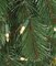 12' Virginia Pine Christmas Tree - Slim Size - 1,350 Clear Lights