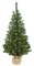 36" Mountain Pine Christmas Tree - 100 Clear Lights - Brown Burlap Base